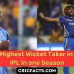 Highest Wicket Taker in IPL in one Season