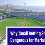 Why Small Betting Sites are Dangerous for Market Leaders