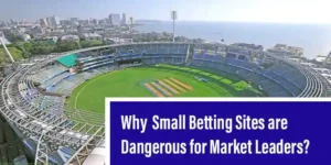 Why Small Betting Sites are Dangerous for Market Leaders?