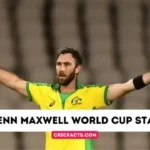 Glenn Maxwell World Cup Runs