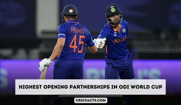best opening partnership in odi world cup