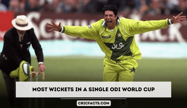 Most wickets in a single edition of ODI World Cup