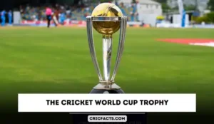 ICC Cricket World Cup Trophy: All about the Weight, Price and Made of trophies in the world