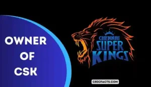 Who is the Owner of Chennai Super Kings in 2023?